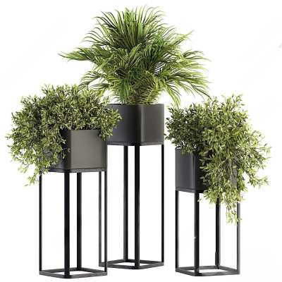 现代绿植盆栽3D模型下载
